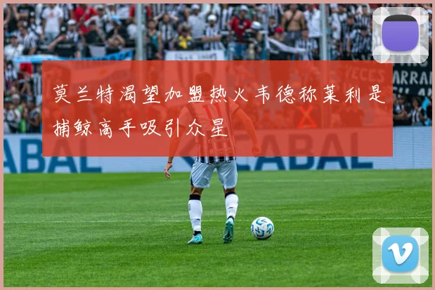 莫兰特渴望加盟热火韦德称莱利是捕鲸高手吸引众星