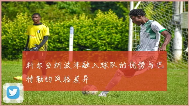 科尔分析波津融入球队的优势与巴特勒的风格差异